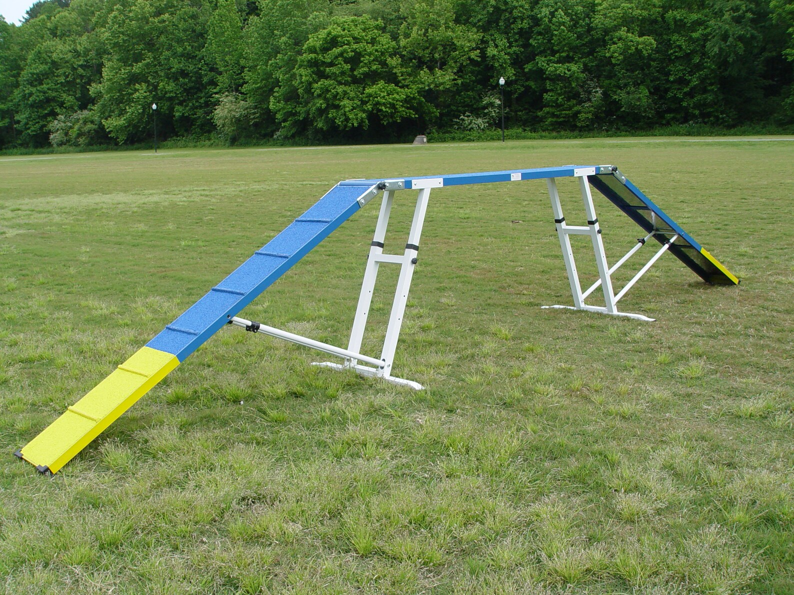 Dog Agility Dog Walk, 6' Ramps Etsy