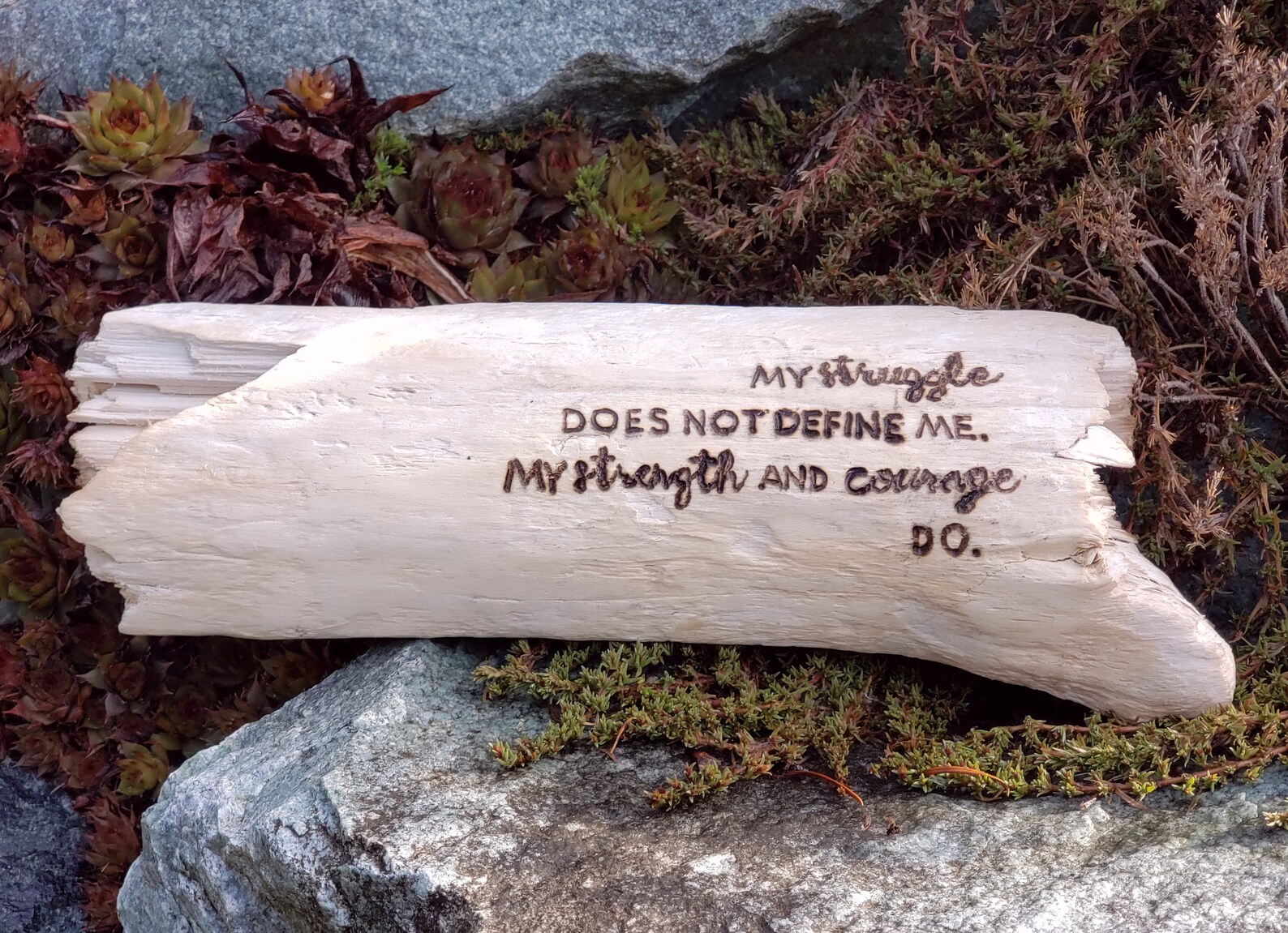 Driftwood Expressions Driftwood Art Driftwood Sign Etsy