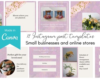 Instagram Post Template, Editable in Canva, Small Business Instagram Template, Social Media Template, Pink