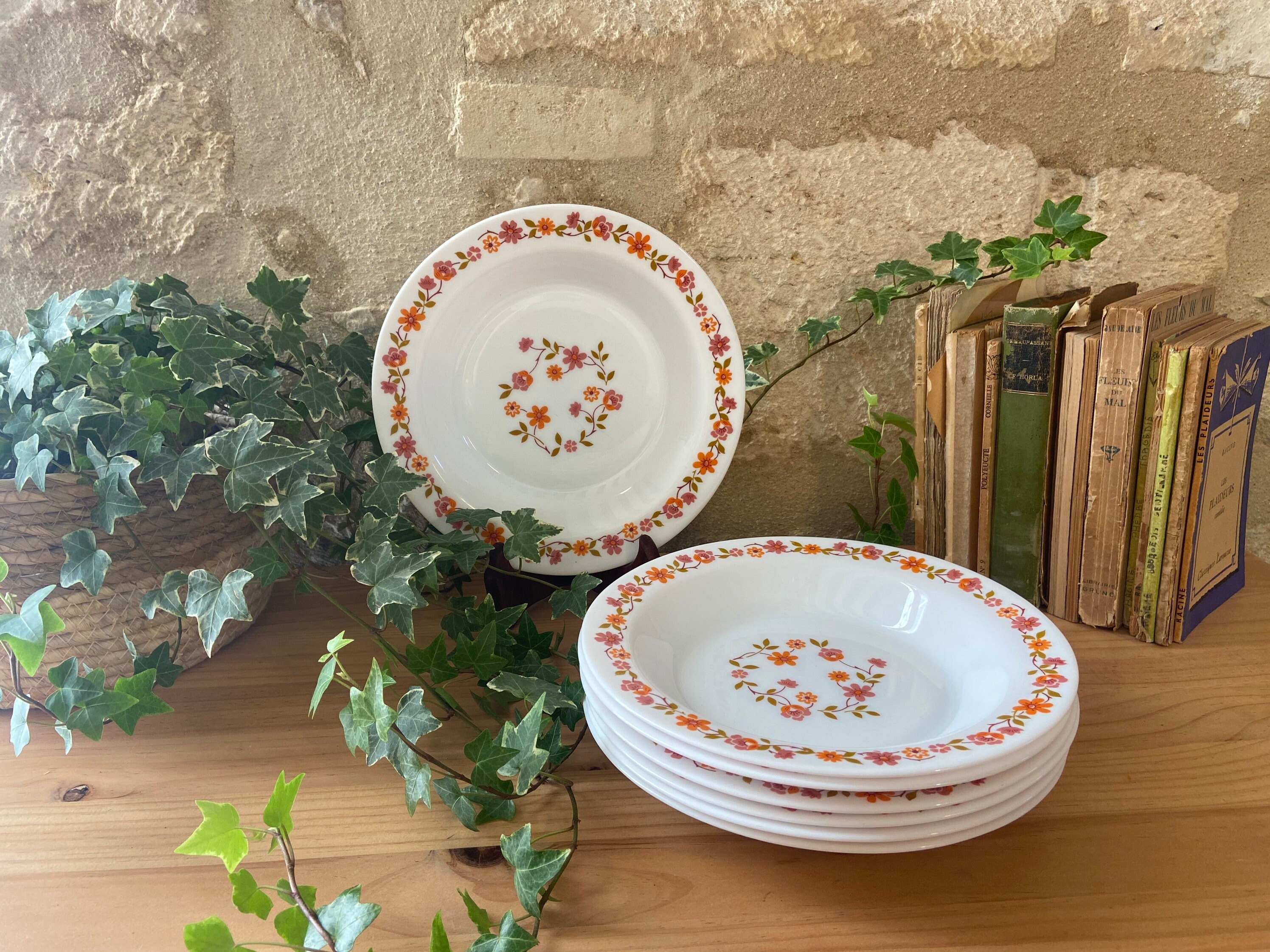 Lot de 7 Assiettes Creuses Fleuries Orange Scania Vintage Français Arcopal