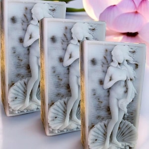 May include: Three rectangular bars of soap with a white, textured surface. Each bar features a raised image of a nude figure standing on a seashell. The figure is reminiscent of the famous Renaissance painting, The Birth of Venus.