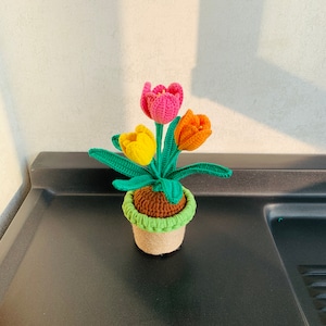 手作りかぎ針編みのレインボーチューリップ、鉢植えの装飾品、工芸品、手工芸品、家の装飾、あみぐるみの花、花束、彼女への装飾ギフト