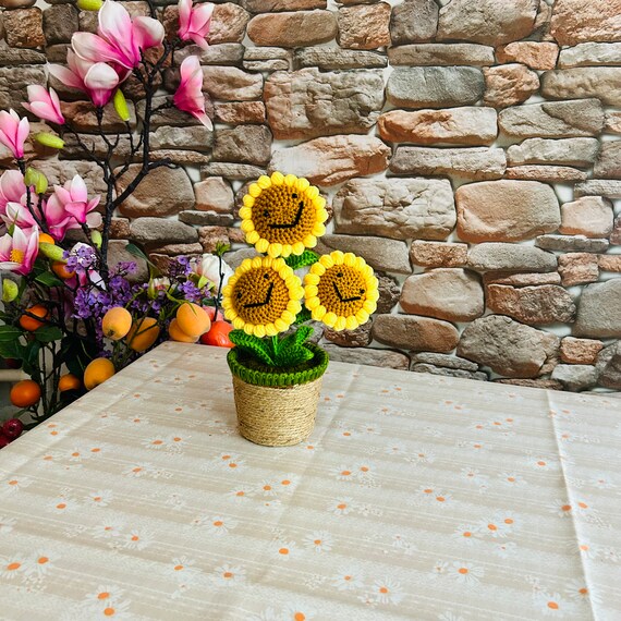 Kaufe Gehäkelte Topfblumen-Dekoration, handgefertigt, bunte Tulpe,  Rosenform, Wollgarn, handgestrickte Blume, Desktop-Ornament,  Geburtstagsgeschenk