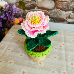 手編みのかわいい牡丹の花の鉢植えの装飾品、工芸品、家の装飾、彼女へのあみぐるみの贈り物