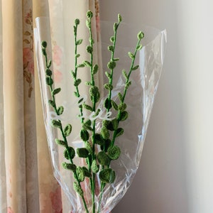 May include: A bouquet of green crocheted flowers in a clear plastic wrap. The flowers are arranged in a fan shape and have a delicate, leafy appearance.