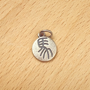 Sterling Silber (rund) Sternzeichen Charm Anhänger, 10 mm Durchmesser