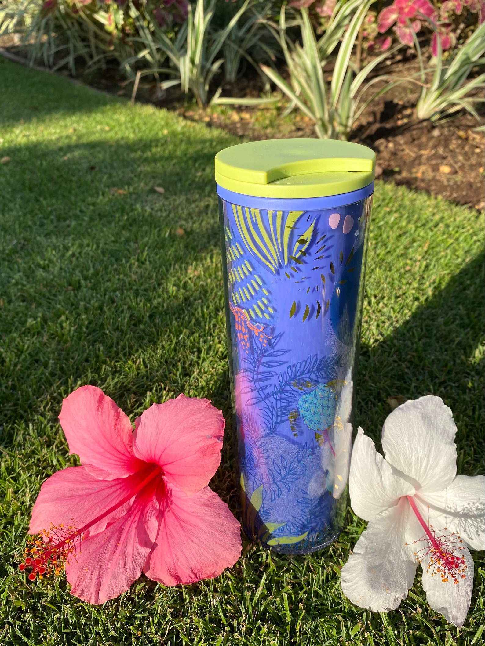 Starbucks Hawaii Collection Blue Turtle Hot/cold Tumbler 16 Oz Etsy