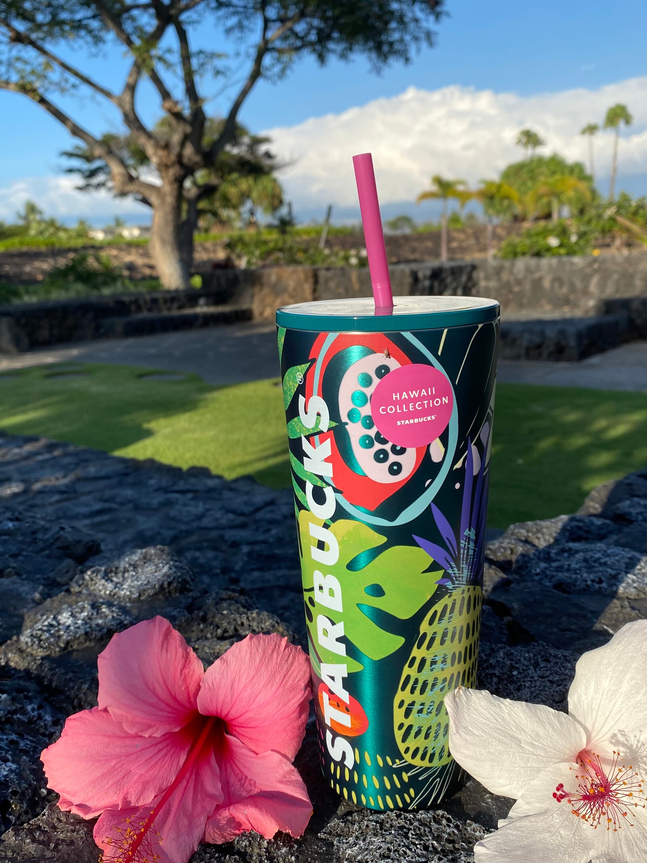 Starbucks Hawaii Collection Tropical Green Metal Cold Cup Etsy