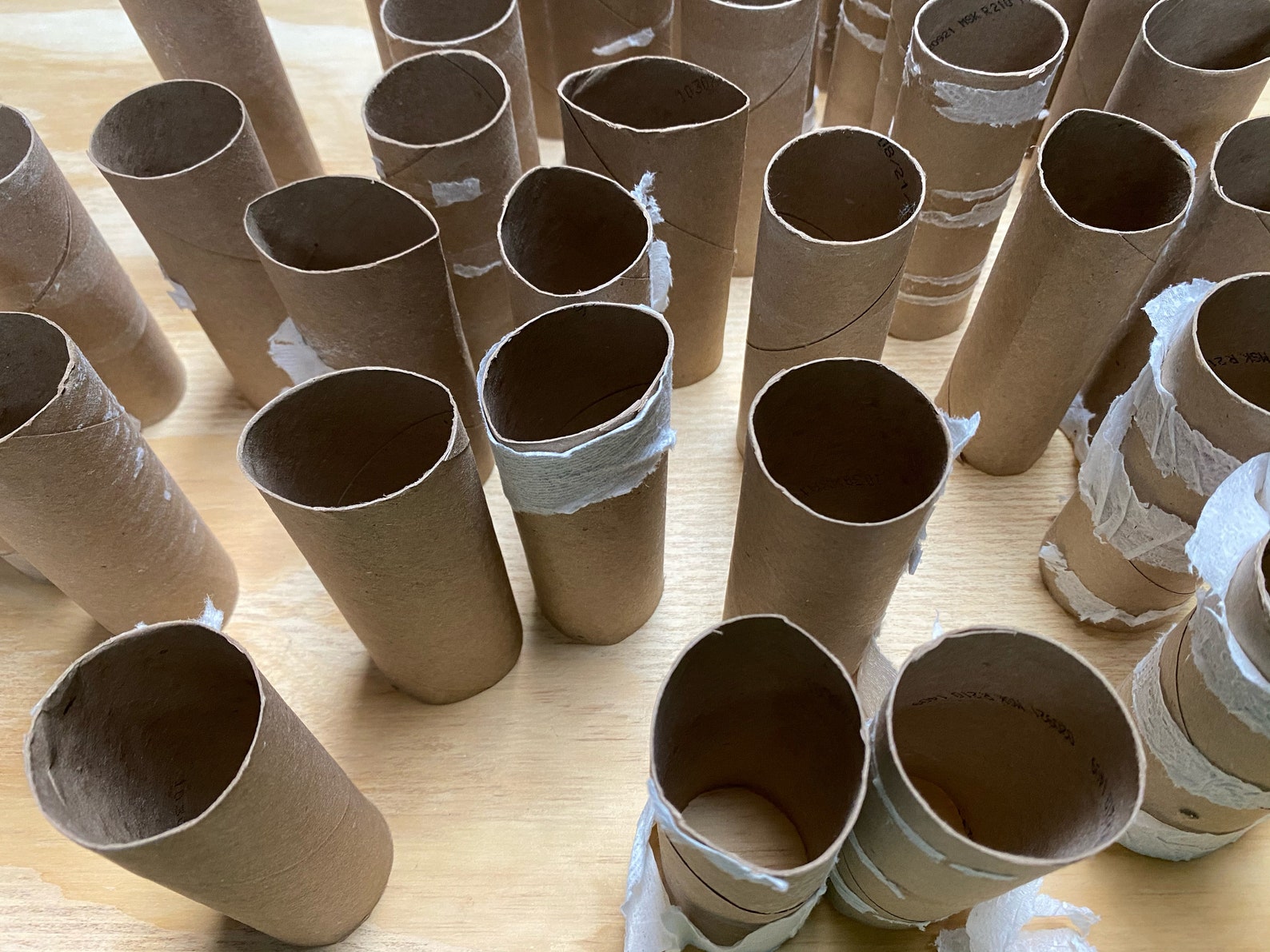 40count Empty Toilet Paper Roll Tubes Recycled school Etsy