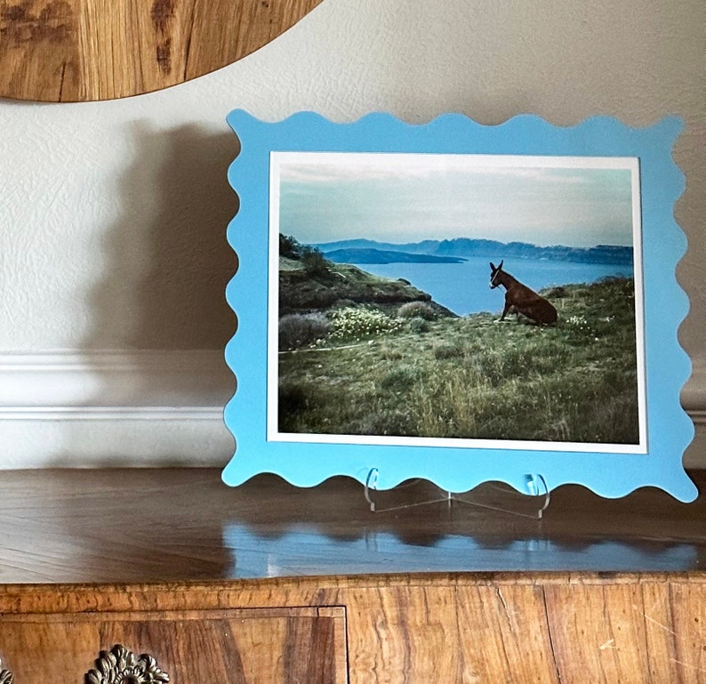 May include: A blue scalloped picture frame with a photo of a brown donkey standing on a grassy hill overlooking a body of water.