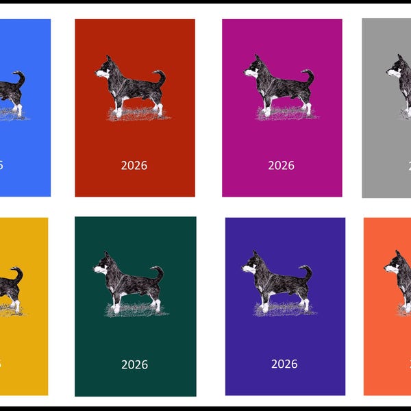 Lancashire Heeler 2027 Week Per View Diary: A5 or A6, Dog Show, Normal or Appointment