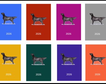 Flatcoat Retriever 2026 Diary: A5/A6 Week Per View, Dog Show or Appointment