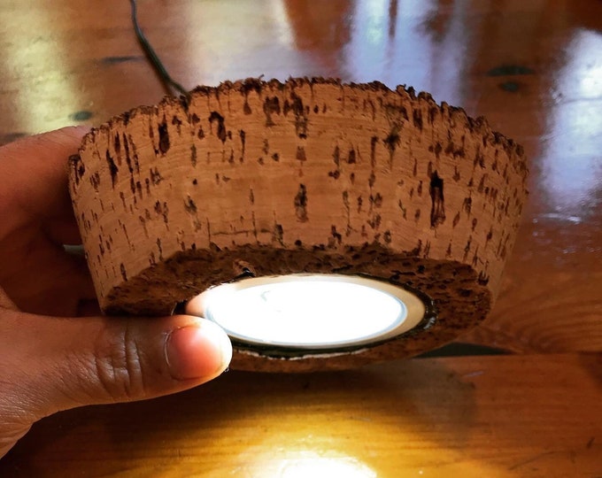 Bark Topped Cork Stopper Lid Terrarium LED Light bottom Diameter Approx