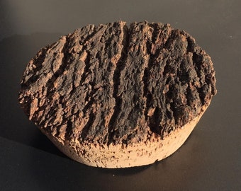 Bark topped cork terrarium lid (bottom diameter approx 89mm)