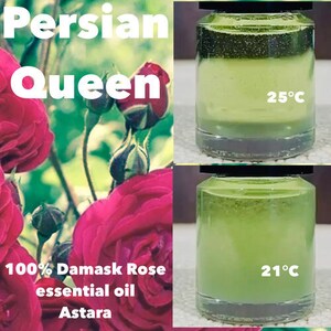 Persian Queen • 100% Damascena Rose essential oil • Astara, Persia