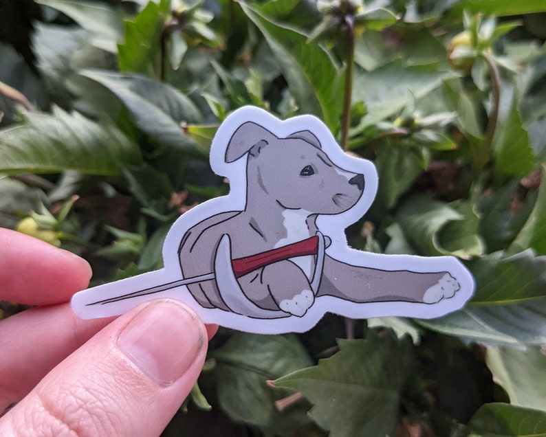 May include: A cartoon dog, grey and white in colour, wearing a red harness and a leash. The dog is sitting on its hind legs with its front paws outstretched.