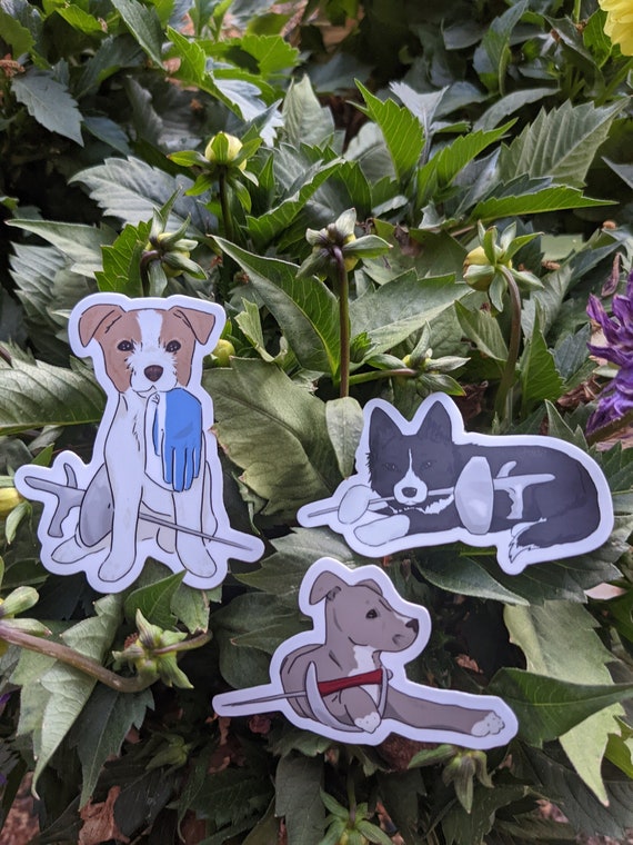 Fencing Puppy Stickers