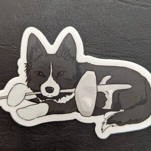 May include: A black and white border collie dog sticker with brown eyes, lying down and holding a fencing foil in its mouth.