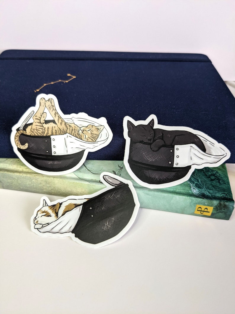 May include: Three black and white cat stickers on a green book. Each sticker features a cat sleeping inside a black helmet.