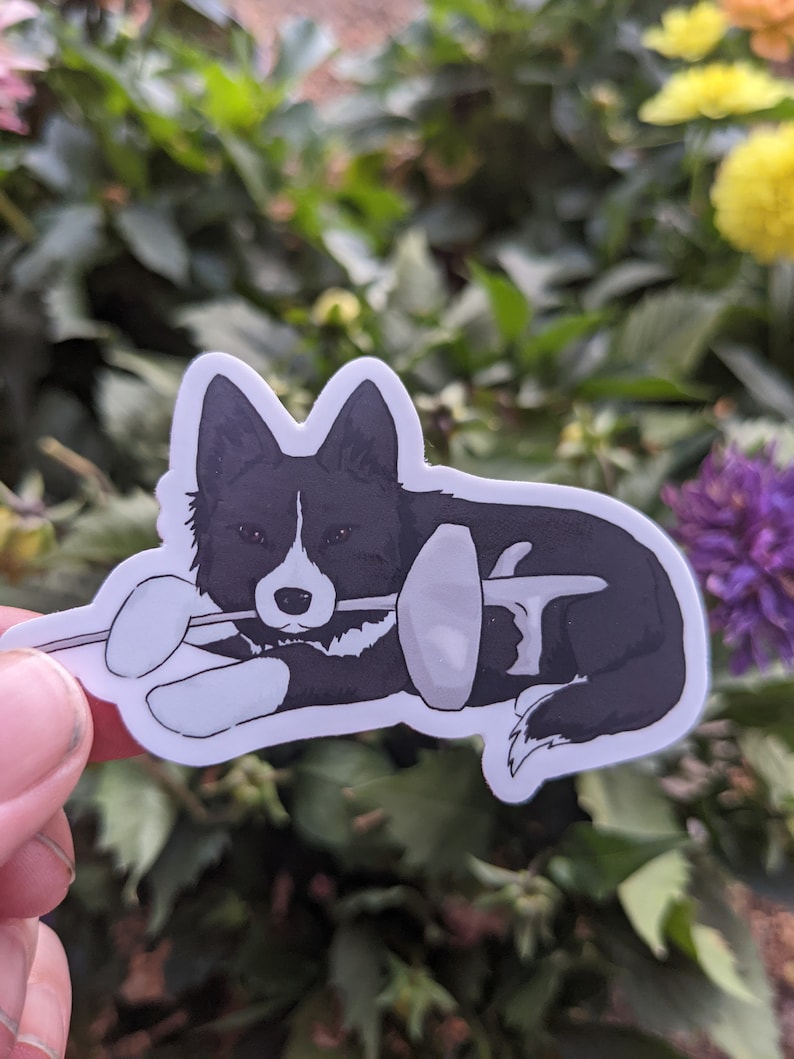 May include: A black and white border collie dog sticker with a fencing foil in its mouth. The dog is lying down and the foil is pointing to the right.