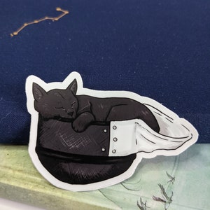 May include: A black cat sticker with white accents, sleeping inside a black and white helmet. The sticker is on a blue and green background.