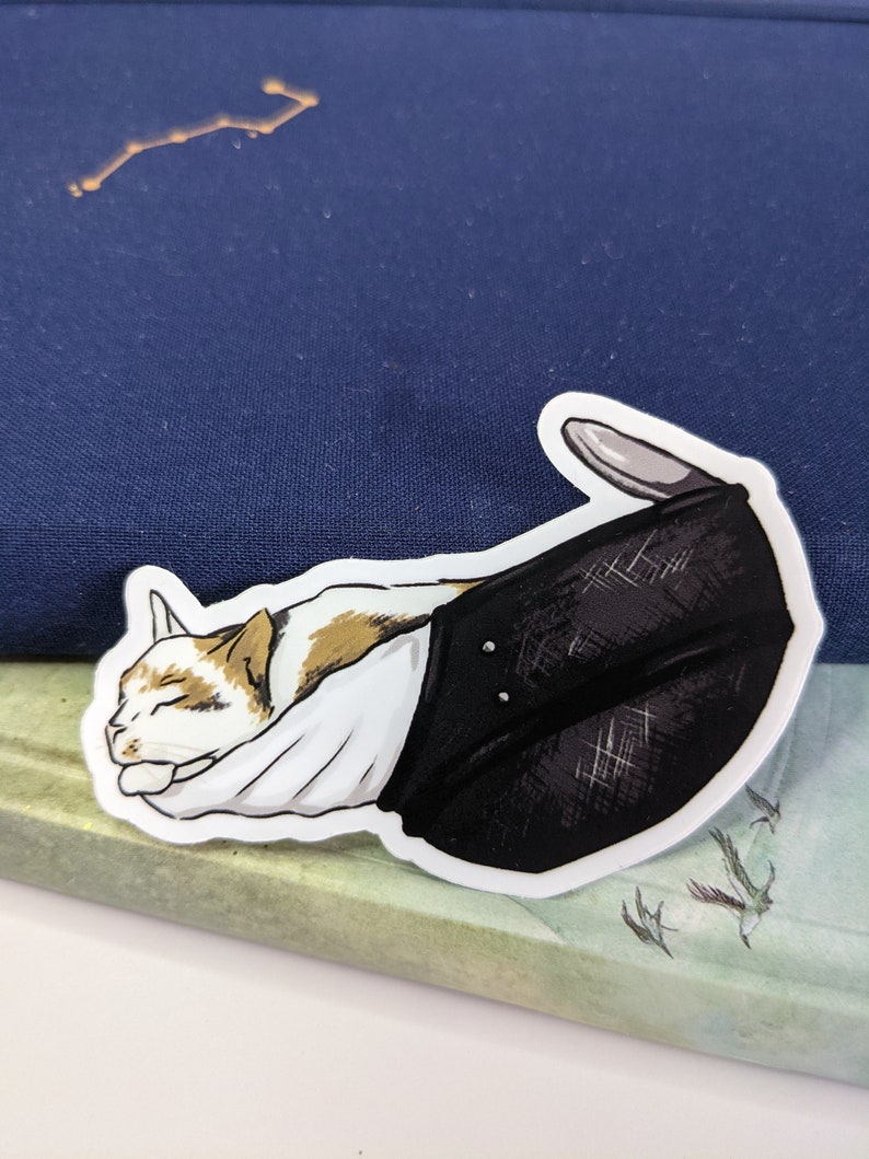 May include: A white, orange, and brown cat is curled up and sleeping inside a black and white helmet. The helmet has a white lining and a black strap.