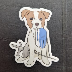 May include: A white and brown dog with blue eyes is holding a blue glove in its mouth. The dog is sitting on a white background with a grey and white stick behind it.
