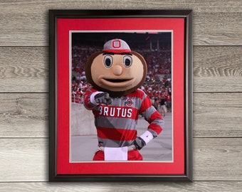 Ohio State Brutus Buckeye Pointing III - Framed