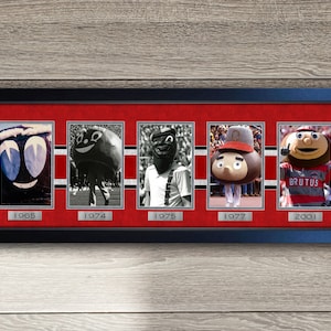 May include: A framed collage featuring five historical photographs of a mascot, labeled with the years 1965, 1974, 1975, 1977, and 2001. The display is set against a red background with horizontal black and white stripes, enclosed in a dark frame.