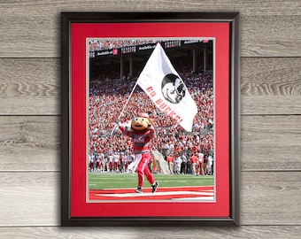 Ohio State Brutus Buckeye with Flag - Framed
