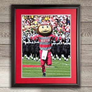 May include: A framed photo of Brutus Buckeye, the Ohio State University mascot, in a red and gray uniform with the word "BRUTUS" on the front. He is running on a green field with a crowd of people in the background.