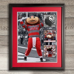 May include: A framed collage of photos featuring Brutus Buckeye, the mascot of The Ohio State University. The collage shows Brutus in different poses and outfits throughout the years, including a black and white photo from 1965, a color photo from 1979, and a color photo from 2018.