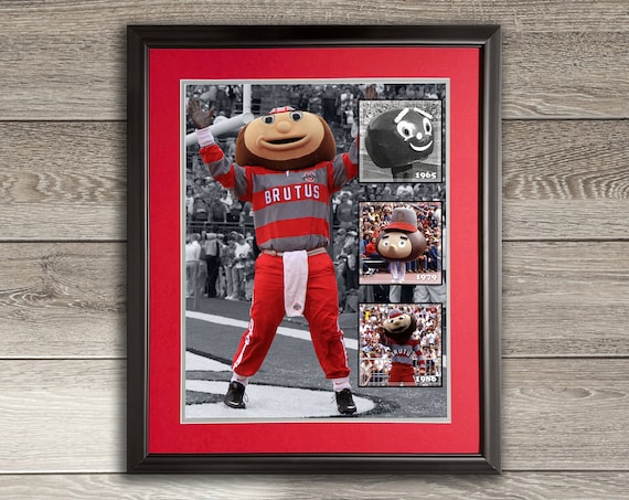 Ohio State Brutus Buckeye Over the Years - Framed OSU Photo