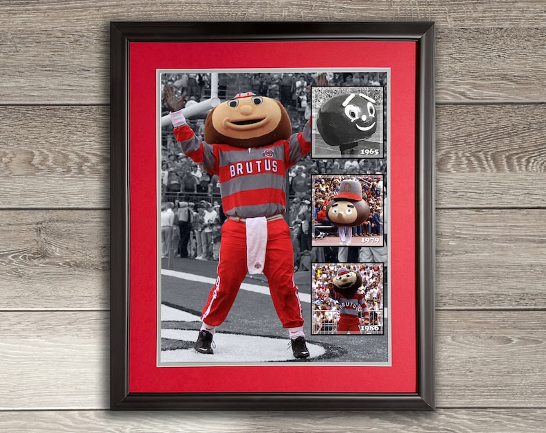 Ohio State Brutus Buckeye Over the Years - Framed OSU Photo image 1