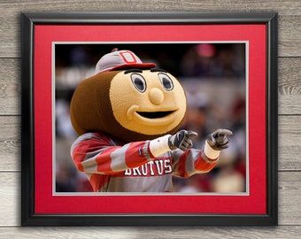 Ohio State Brutus Buckeye Pointing II - Framed