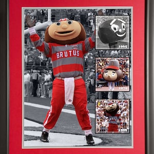 Ohio State Brutus Buckeye Over the Years - Framed OSU Photo image 2