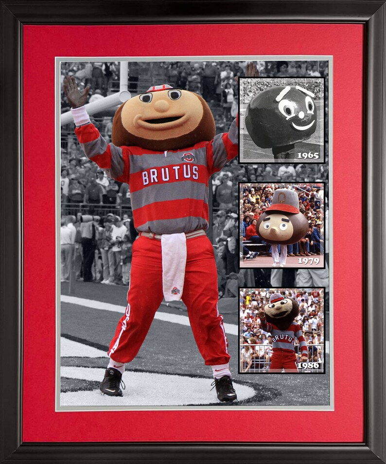 Ohio State Brutus Buckeye Over the Years - Framed OSU Photo image 2