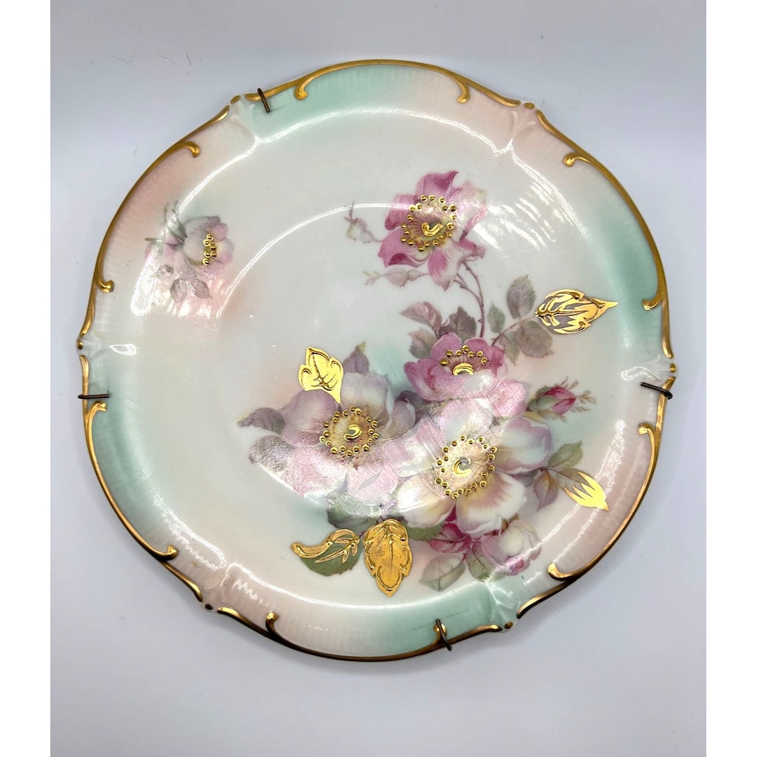 Vintage Schumann Arzberg Bavaria Germany Plate Wild Rose Gold Accents ...
