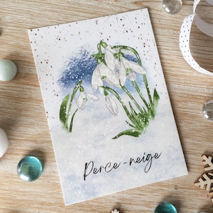 Carte postale illustrée Perce-neige | Neige, Carte de voeux, Noël, Aquarelle, Illustratrice française