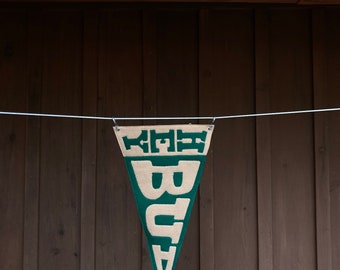 HEY BUD pennant