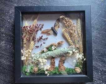 Mouse Skeleton Shadow Box