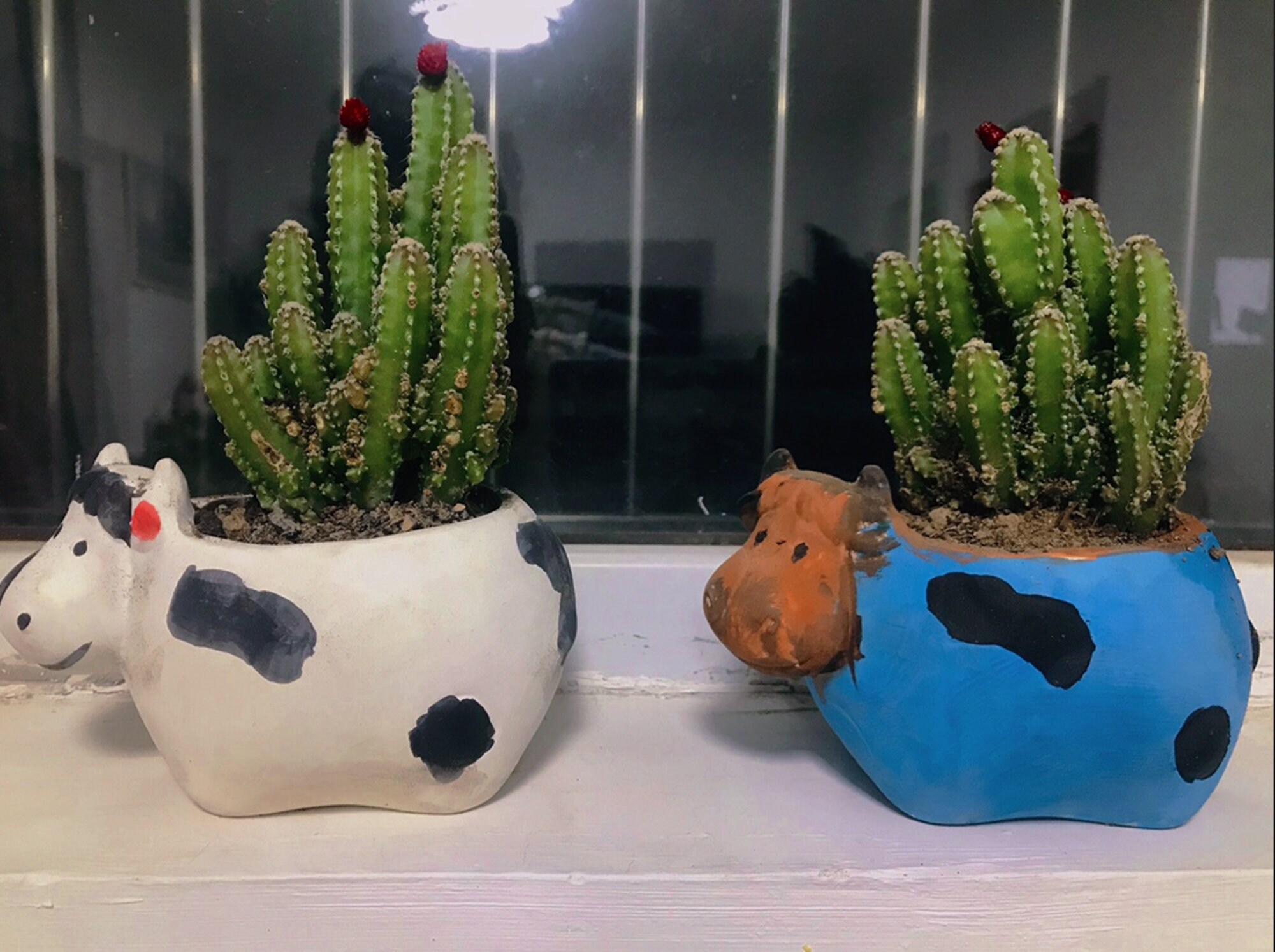 DIY Paint Your Own Animal Ceramic Succulent Flower PotCute Etsy
