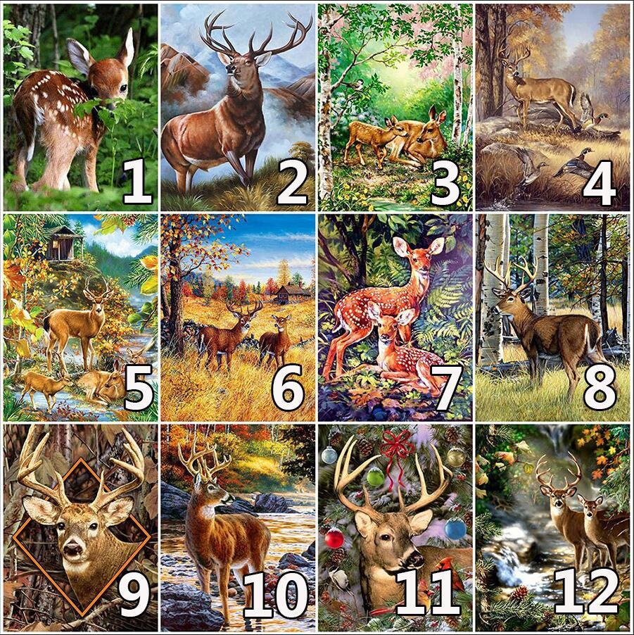 24 Color / Paint by NumBers / Deer / Forest / DIY Oil Painting Etsy