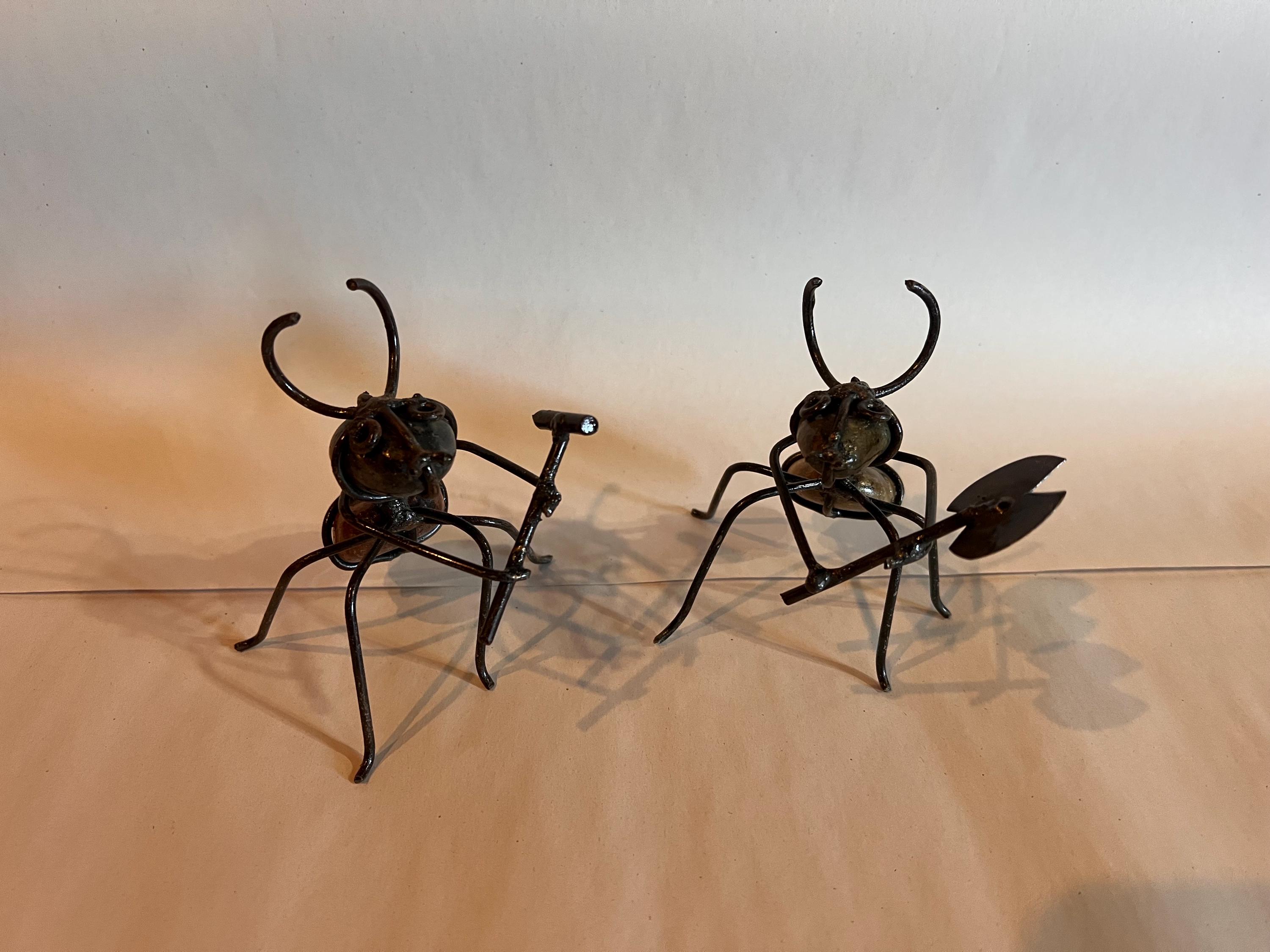 Garden Rock Ant