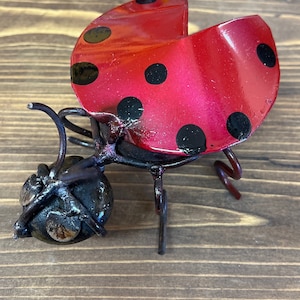 River Rock Ladybug