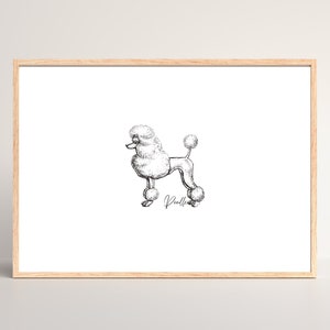 Minimalist Poodle Ink Print | Hand Drawn Dog Art | Dog Lover Gift | Dog art