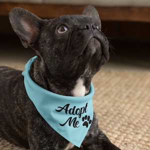 May include: A black French bulldog wearing a light blue bandana with the text "Adopt Me" and a paw print.