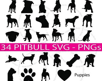 34 Pitbull SVG and PNGs - Cricut or Silhouette Cut Bundle