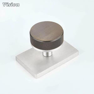 Pode incluir: Um botão redondo com topo em bronze escovado e borda serrilhada escura e texturizada, montado numa placa de base retangular de metal prateado escovado. A palavra Vision está impressa no canto superior esquerdo da imagem em fonte preta.