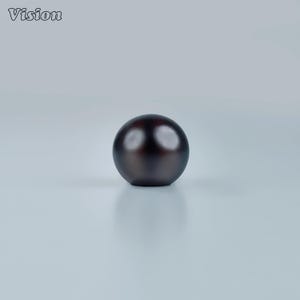 Op de afbeelding: Een donkerbruin, bolvormig object met een glanzende afwerking. Het object is gecentreerd tegen een lichtgrijze achtergrond. Het woord "Vision" staat in de linkerbovenhoek.